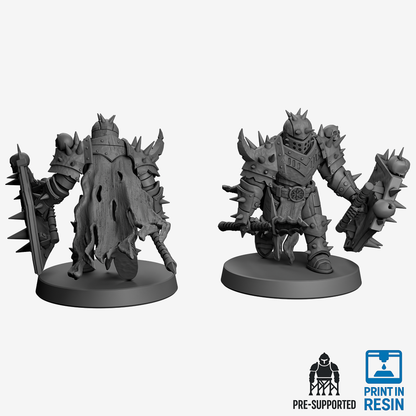 Hellforged Fallen Knight - Sentinel Loadout