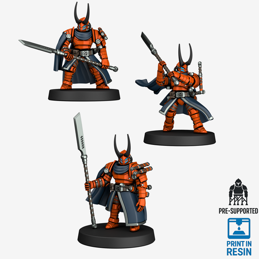 Araashi Blademaster - Warden Loadout
