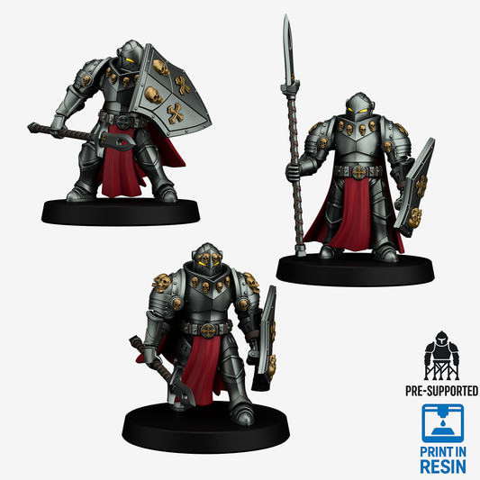 Exalted Templar - Phalanx Loadout