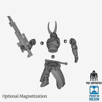 Araashi Eliminator - Sharpshooter Loadout